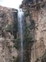 /album/fotogaleria-fotogaleria1/wayllay-phaqcha-jpg/